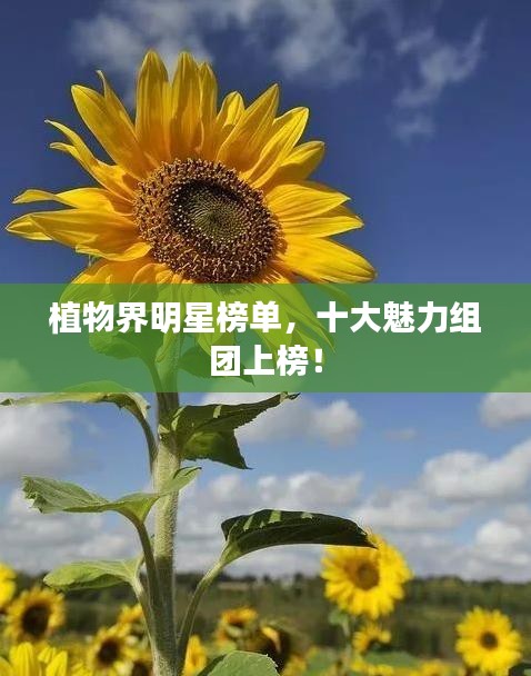 植物界明星榜单，十大魅力组团上榜！