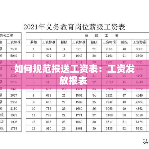 如何规范报送工资表：工资发放报表 