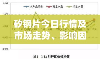 矽钢片今日行情及市场走势、影响因素剖析与前景展望