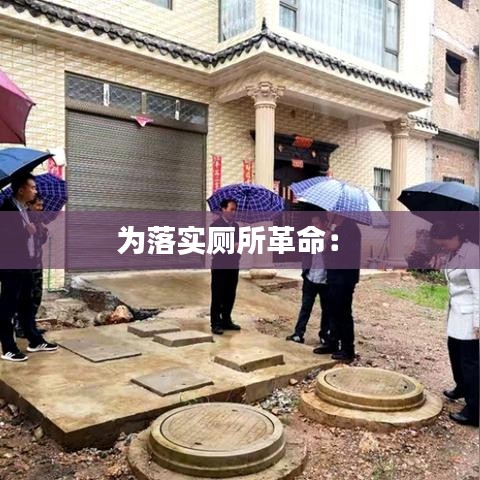 为落实厕所革命： 