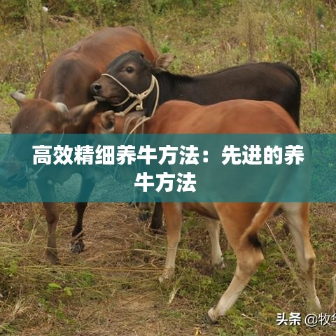 椎髻布衣 第2页