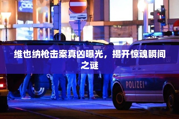 维也纳枪击案真凶曝光，揭开惊魂瞬间之谜