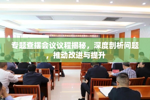 专题查摆会议议程揭秘，深度剖析问题，推动改进与提升