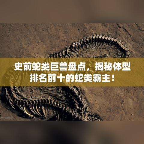 史前蛇类巨兽盘点，揭秘体型排名前十的蛇类霸主！