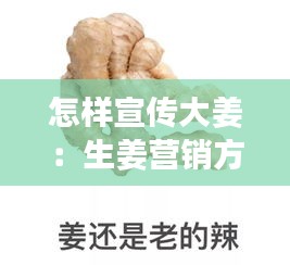怎样宣传大姜：生姜营销方案 
