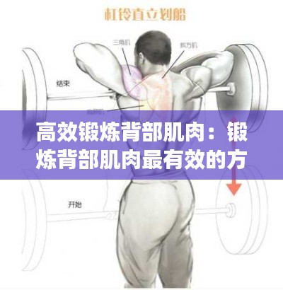 高效锻炼背部肌肉：锻炼背部肌肉最有效的方法 