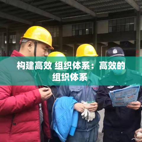 构建高效 组织体系：高效的组织体系 