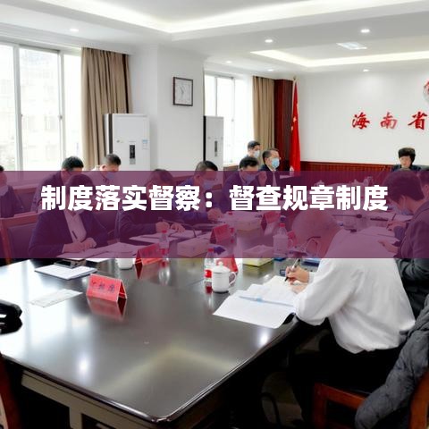 制度落实督察：督查规章制度 