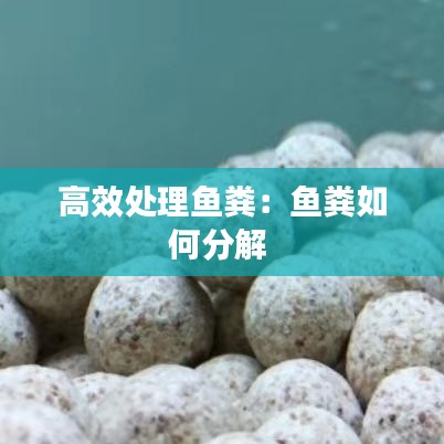 高效处理鱼粪：鱼粪如何分解 