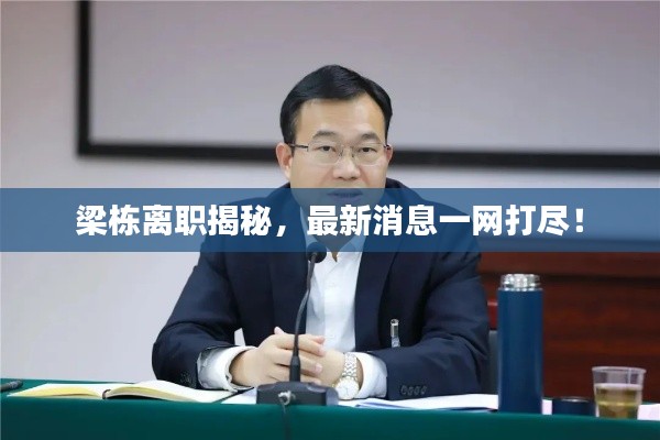 梁栋离职揭秘，最新消息一网打尽！