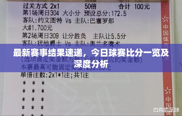 最新赛事结果速递，今日球赛比分一览及深度分析