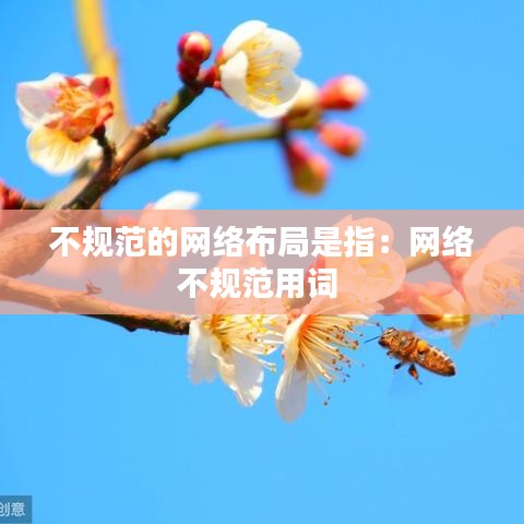 不规范的网络布局是指：网络不规范用词 