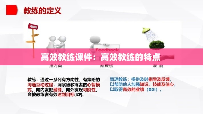 高效教练课件：高效教练的特点 
