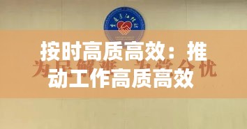 按时高质高效：推动工作高质高效 