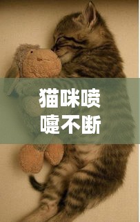 闭月羞花 第2页