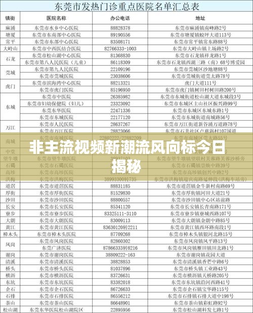 非主流视频新潮流风向标今日揭秘
