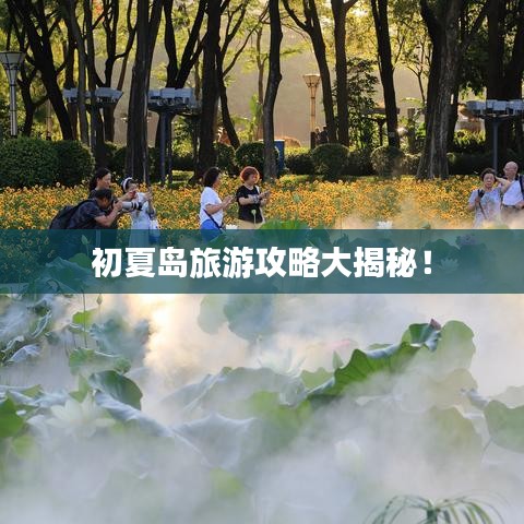 初夏岛旅游攻略大揭秘！