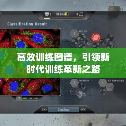 高效训练图谱，引领新时代训练革新之路
