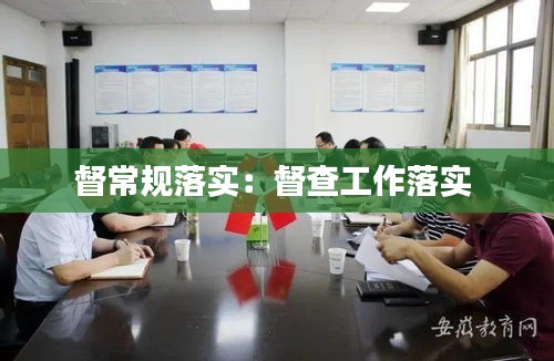 督常规落实：督查工作落实 