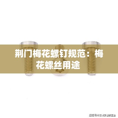 荆门梅花螺钉规范：梅花螺丝用途 