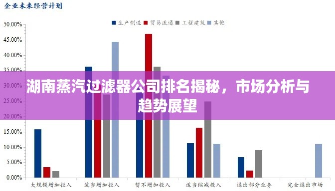 湖南蒸汽过滤器公司排名揭秘，市场分析与趋势展望