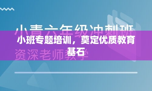 小班专题培训，奠定优质教育基石