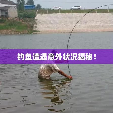 钓鱼遭遇意外状况揭秘！