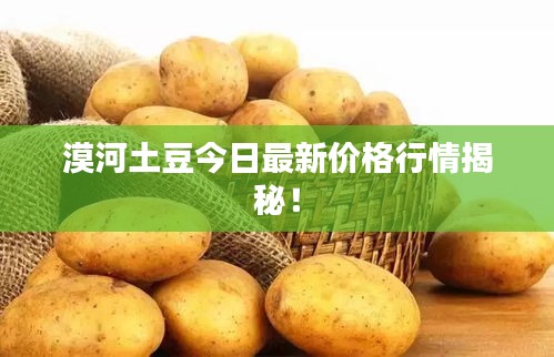 漠河土豆今日最新价格行情揭秘！