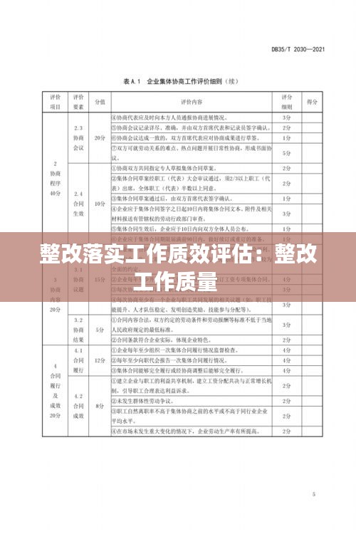 整改落实工作质效评估：整改工作质量 