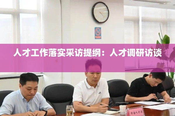 人才工作落实采访提纲：人才调研访谈 