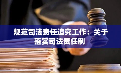 规范司法责任追究工作：关于落实司法责任制 