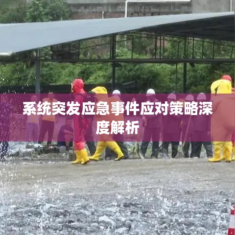 系统突发应急事件应对策略深度解析