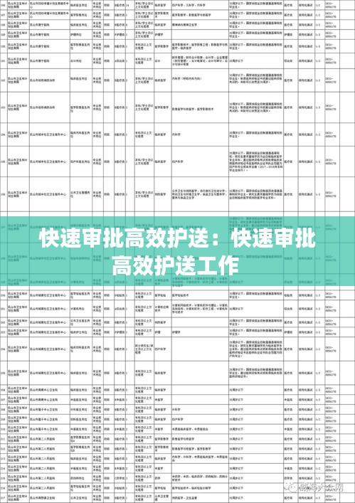 快速审批高效护送：快速审批高效护送工作 