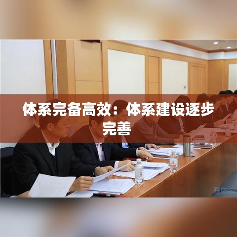 体系完备高效：体系建设逐步完善 