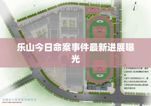 乐山今日命案事件最新进展曝光