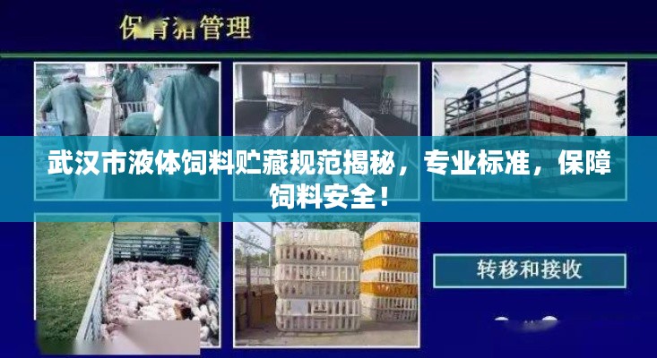 武汉市液体饲料贮藏规范揭秘，专业标准，保障饲料安全！