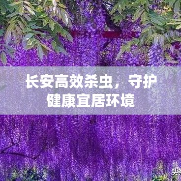 长安高效杀虫，守护健康宜居环境