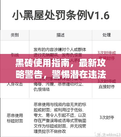 黑砖使用指南，最新攻略警告，警惕潜在违法犯罪风险