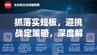 抓落实短板，迎挑战定策略，深度解析与执行优化