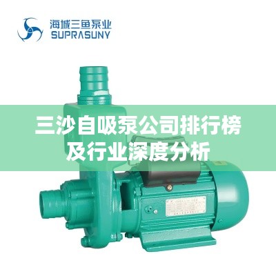 三沙自吸泵公司排行榜及行业深度分析