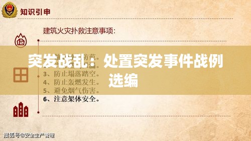 突发战乱：处置突发事件战例选编 