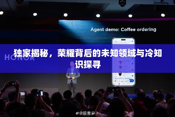 独家揭秘，荣耀背后的未知领域与冷知识探寻