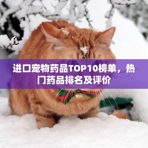 进口宠物药品TOP10榜单，热门药品排名及评价