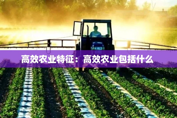 高效农业特征：高效农业包括什么 