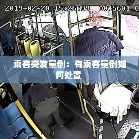 蓬荜生辉 第2页