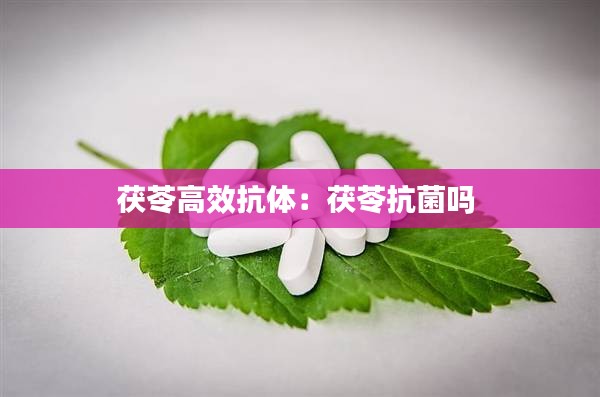 丢三落四 第2页