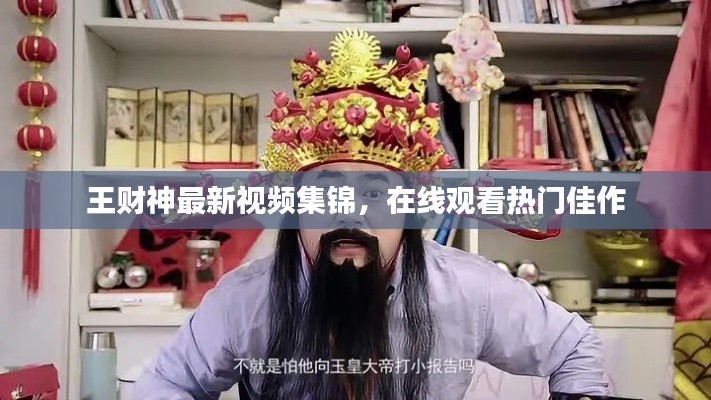 王财神最新视频集锦，在线观看热门佳作