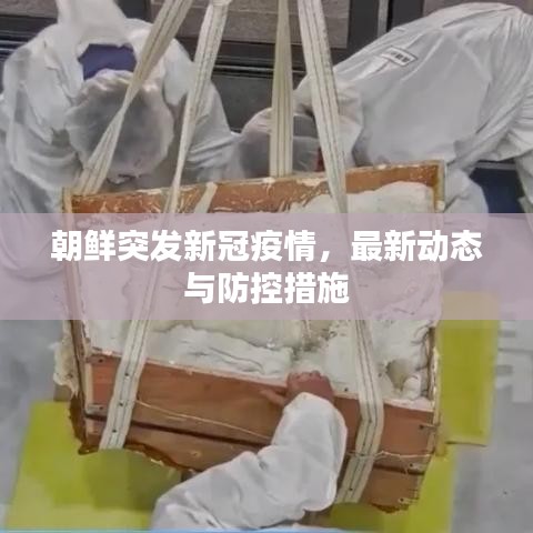 朝鲜突发新冠疫情，最新动态与防控措施