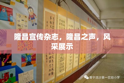 隆昌宣传杂志，隆昌之声，风采展示