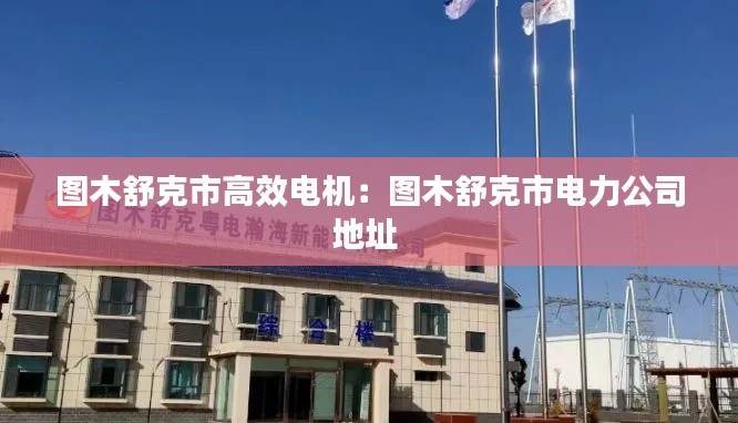 图木舒克市高效电机：图木舒克市电力公司地址 